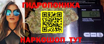 сатива Ипатово
