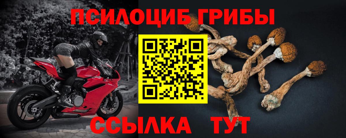 Галлюциногенные грибы мухоморы  магазин продажи наркотиков  Лабытнанги  Галлюциногенные грибы мухоморы  Вход с VPN 