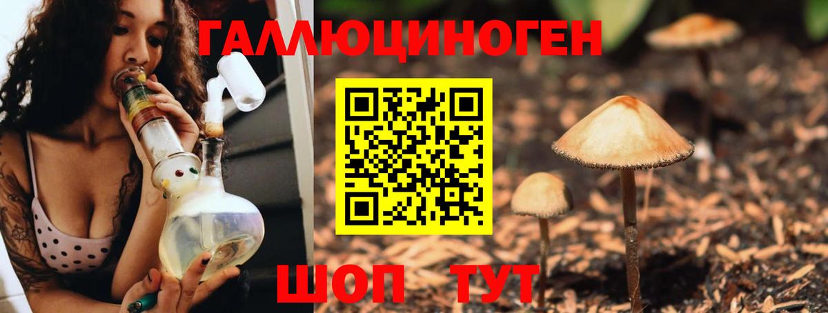 Галлюциногенные грибы мухоморы Лабытнанги